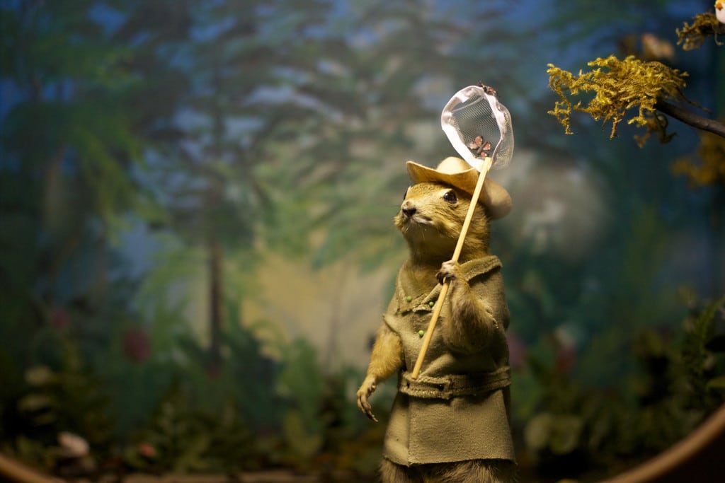 Featured Image for TIFF 2015: The World Famous Gopher Hole Museum courtesy of Alan Levine via Flickr (CC by 2.0)  | CJRU