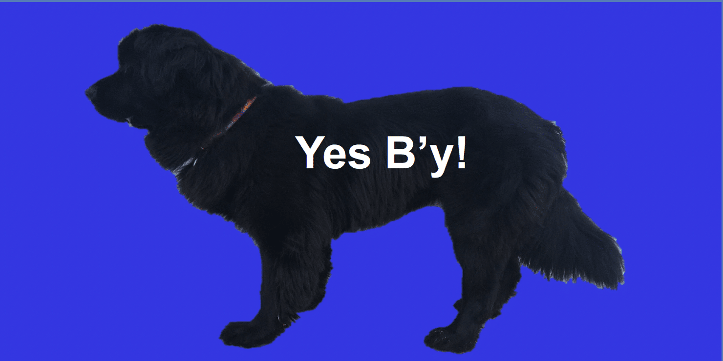 Yes B'y! logo